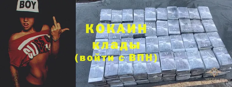 Cocaine FishScale  купить наркоту  Верхоянск 